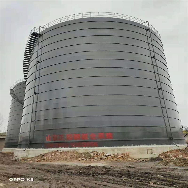 河南3万吨大型钢板库